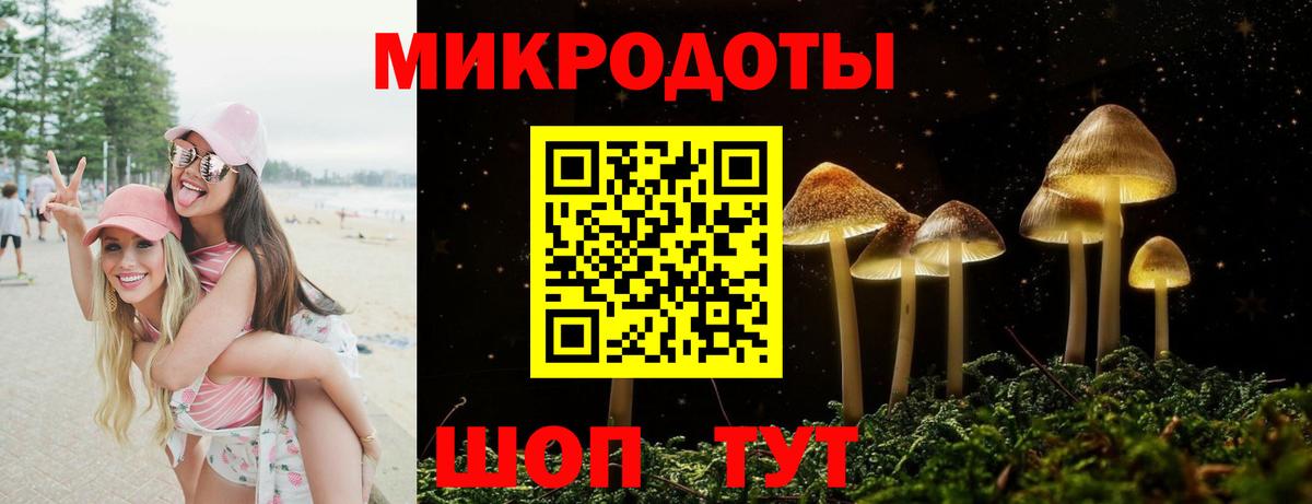 Псилоцибиновые грибы мицелий  Вход с VPN  Ярцево 